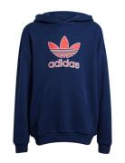 Hoodie Huppari Navy Adidas Originals