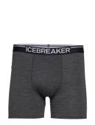 Men Merino 150 Anatomica Boxers Bokserit Grey Icebreaker