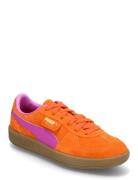 Palermo Jr Sport Sneakers Low-top Sneakers Orange PUMA