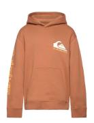 Omni Logo Hoodie Youth Tops Sweat-shirts & Hoodies Hoodies Brown Quiks...