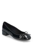 Cherish Ballerina Ballerinat Black Steve Madden