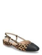 Belinda-L Ballerina Ballerinat Black Steve Madden