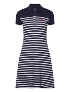 Striped Stretch-Mesh Polo Shirtdress Polvipituinen Mekko Navy Polo Ral...