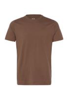 Hco. Guys Knits Tops T-shirts Short-sleeved Brown Hollister