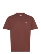 M Ss Mapleton Tee Designers T-shirts Short-sleeved Brown Dickies
