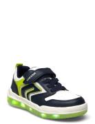 J Buzzerlight Boy B Matalavartiset Sneakerit Tennarit Green GEOX