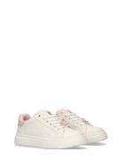 Low Tops Lace-Up Sneaker Matalavartiset Sneakerit Tennarit Pink Calvin...