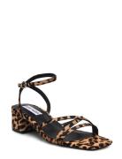 Gabby-L Sandal Korolliset Sandaalit Brown Steve Madden