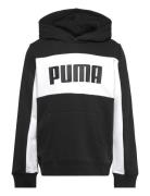 Ess Block Hoodie Tr B Sport Sweat-shirts & Hoodies Hoodies Black PUMA