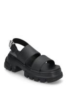 Tjw Chunky City Sandal Korolliset Sandaalit Black Tommy Hilfiger