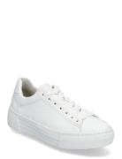 Sneaker Matalavartiset Sneakerit Tennarit White Gabor