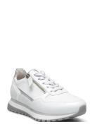 Sneaker Matalavartiset Sneakerit Tennarit Silver Gabor