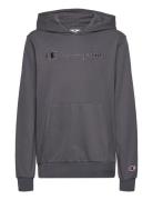 Hooded Sweatshirt Tops Sweat-shirts & Hoodies Hoodies Grey Champion