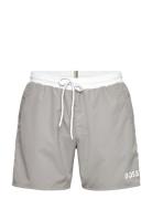 Starfish Uimashortsit Grey BOSS