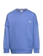 Sweatshirt Tops Sweat-shirts & Hoodies Sweat-shirts Blue BOSS