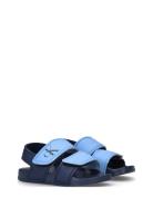 Kids Velcro Sandals Shoes Summer Shoes Sandals Blue Calvin Klein