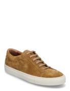 Jermain Suede Sneaker Matalavartiset Sneakerit Tennarit Brown Polo Ral...