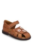 Sandals - Flat - Closed Toe Shoes Summer Shoes Sandals Brown ANGULUS