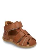 Sandals - Flat - Closed Toe Shoes Summer Shoes Sandals Brown ANGULUS