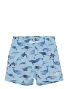 Swim Shorts, Aop Uimashortsit Blue Color Kids