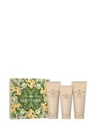 The Ginger Body Cream Mother's Day Collection Gifting Set Kylpysetti I...