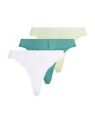 Low Rise Thong 3Pk Stringit Alusvaatteet Multi/patterned Calvin Klein