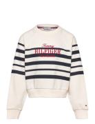 Tommy Script Cn Sweatshirt Tops Sweat-shirts & Hoodies Sweat-shirts Cr...
