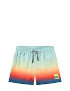Niko Uimashortsit Blue Molo