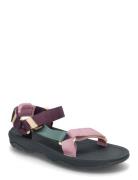 Hurricane Xlt 2 Shoes Summer Shoes Sandals Purple Teva