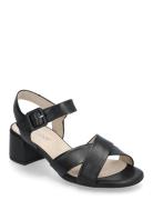 Ankle-Strap Sandal Korolliset Sandaalit Black Gabor