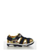 Pawpatrol Sandal Shoes Summer Shoes Sandals Navy Paw Patrol