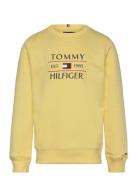 Tommy Flag Hilfiger Sweatshirt Tops Sweat-shirts & Hoodies Sweat-shirt...