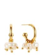 Palma Mini Hoop Brown Gold Accessories Jewellery Earrings Hoops Gold B...