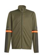 Sq25 Tr Jkt Y Tops Sweat-shirts & Hoodies Sweat-shirts Khaki Green Adi...