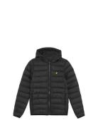 Light Weight Padded Jacket Toppatakki Black Lyle & Scott