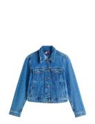 Classic Trucker Jacket Ci8132 Farkkutakki Denimtakki Blue Tommy Jeans