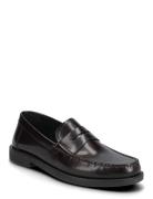 U Recanati B Loaferit Matalat Kengät Brown GEOX