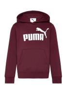 Ess No. 1 Logo Hoodie Fl B Sport Sweat-shirts & Hoodies Hoodies Burgun...