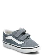 Old Skool V Sport Sneakers Low-top Sneakers Grey VANS