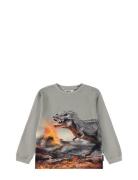 Rube Tops T-shirts Long-sleeved T-shirts Grey Molo