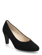 Pumps Shoes Heels Pumps Classic Black Gabor