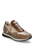 Sneaker Matalavartiset Sneakerit Tennarit Beige Gabor