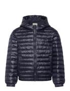 Shiny Light Padded Jacket Toppatakki Navy GANT