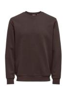 Onsceres Crew Neck Noos Tops Sweat-shirts & Hoodies Sweat-shirts Brown...