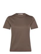 Siru Tops T-shirts & Tops Short-sleeved Brown Tiger Of Sweden