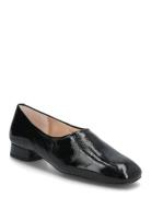 Cuntis_Ver Matalapohjaiset Kengät Black UNISA