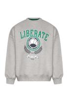 Tnpenno Os Sweatshirt Tops Sweat-shirts & Hoodies Sweat-shirts Grey Th...