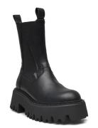 Obtain Shoes Chelsea Boots Black Steve Madden