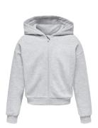 Kogfave L/S Zip Hood Swt Tops Sweat-shirts & Hoodies Hoodies Grey Kids...