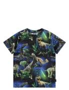 Ralphie Tops T-shirts Short-sleeved Navy Molo